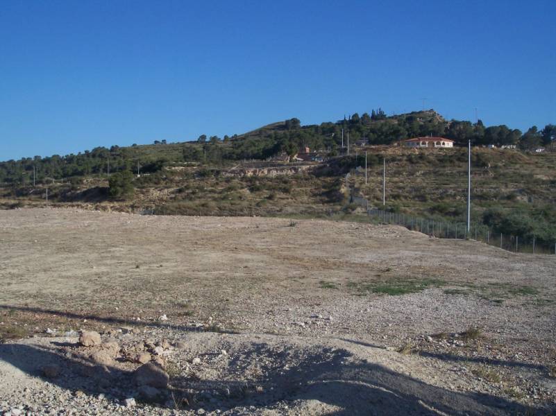 Terreno en Aspe, Alicante en venta Foto del edificio- Imagen 1 de 2