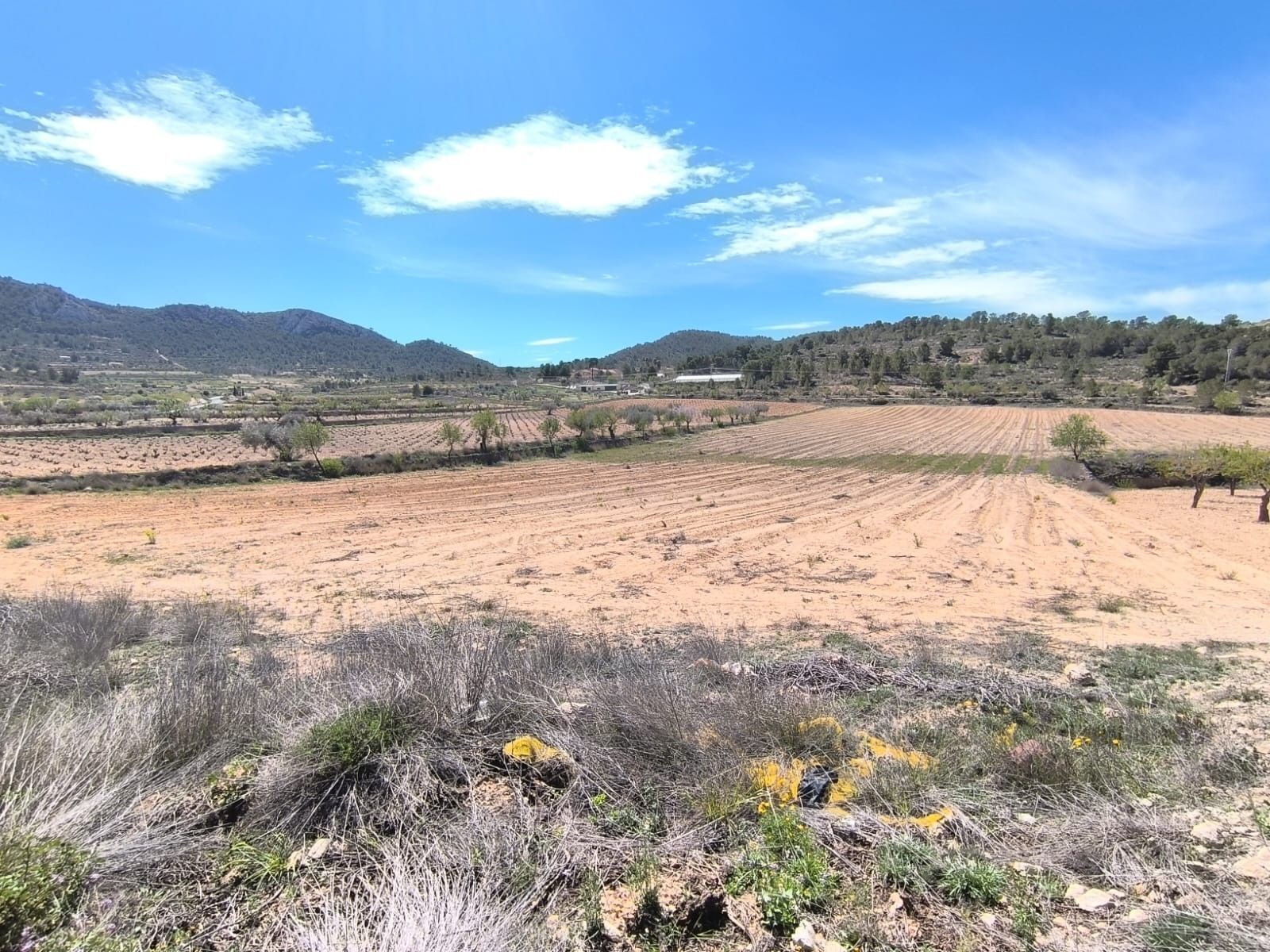 Terreno en Jumilla, Murcia en venta Vista aérea- Imagen 1 de 5