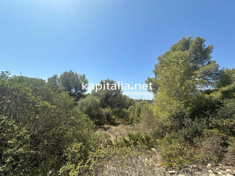 Terreno en San Cristóbal de La Laguna, Santa Cruz de Tenerife en venta - Foto del edificio - Imagen 2 de 5