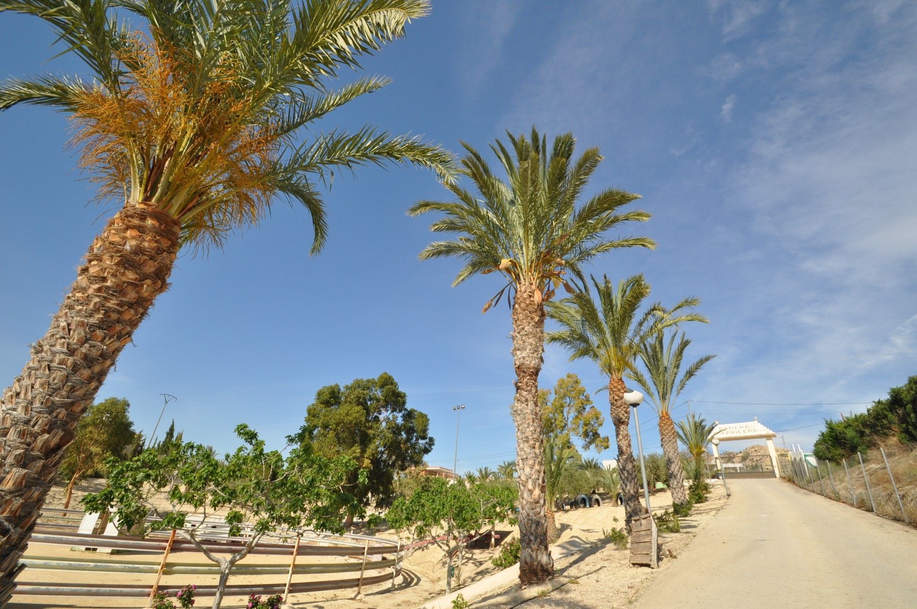 Local en Abanilla, Murcia en venta Foto del edificio- Imagen 1 de 51