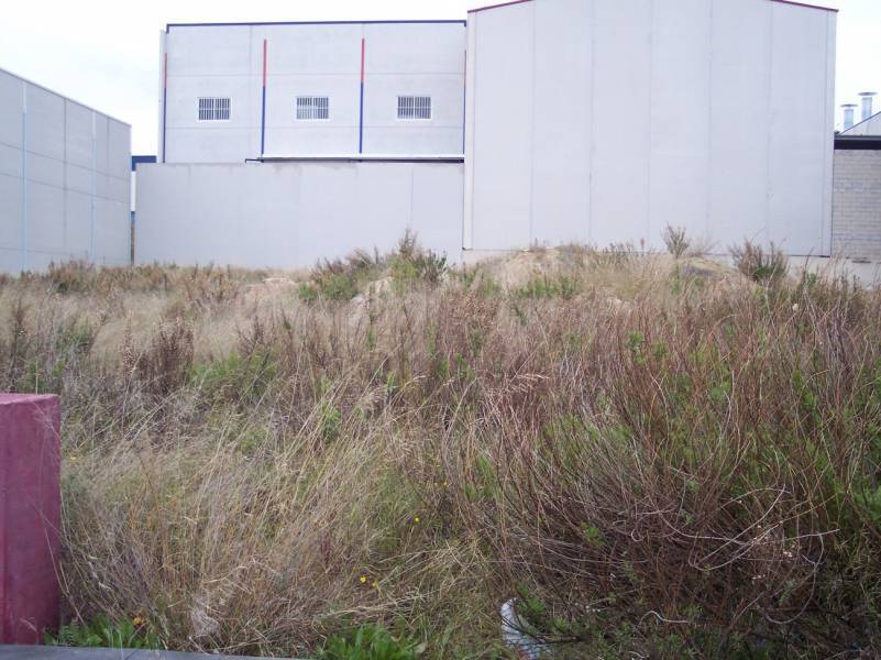 Nave en Aspe en venta Foto del edificio- Imagen 1 de 3