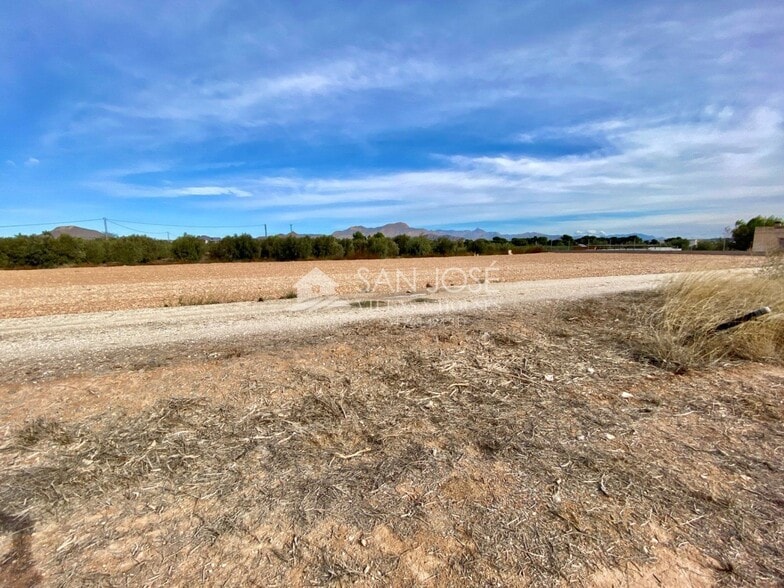 Terreno en Aspe, Alicante en venta - Vista aérea - Imagen 3 de 5