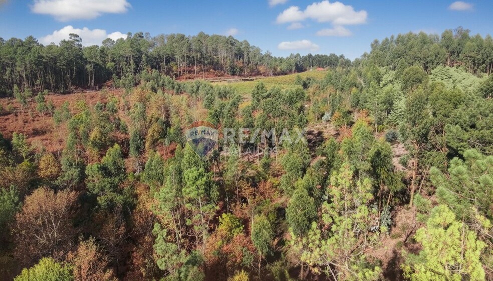 Terreno en Salvaterra de Miño, Pontevedra en venta - Foto principal - Imagen 3 de 25
