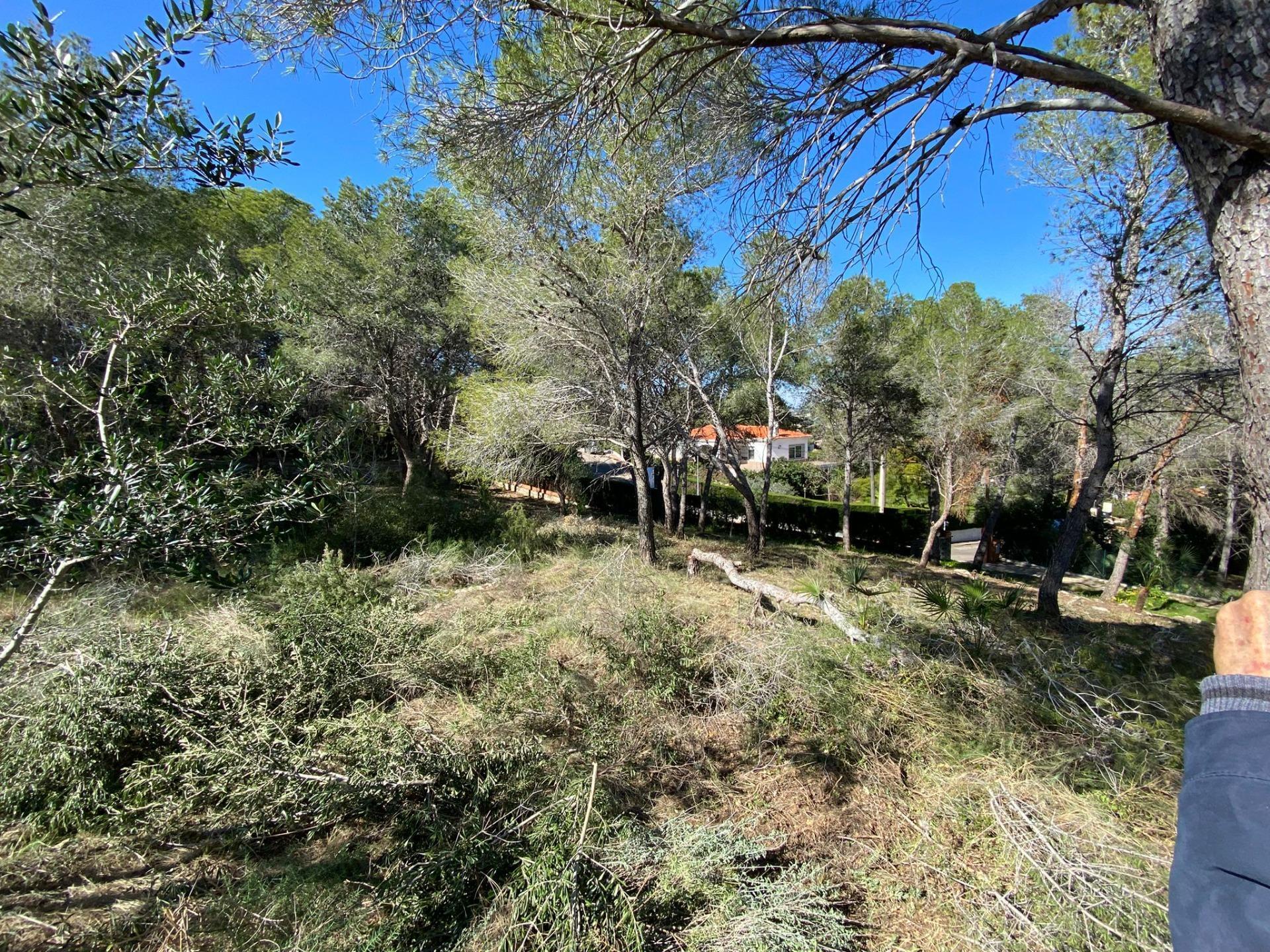 Terreno en Picassent, Valencia en venta Foto del edificio- Imagen 1 de 25