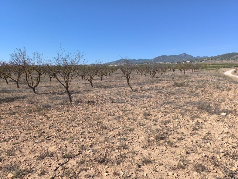 Terreno en PINOSO en venta - Foto del edificio - Imagen 2 de 10