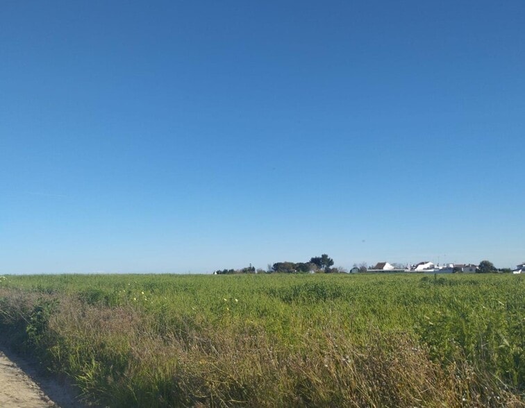 Terreno en Almonte en venta - Foto del edificio - Imagen 2 de 13