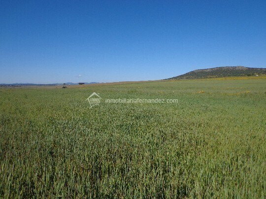 Terreno en Sierra de Fuentes, Cáceres en venta - Vista aérea - Imagen 2 de 3