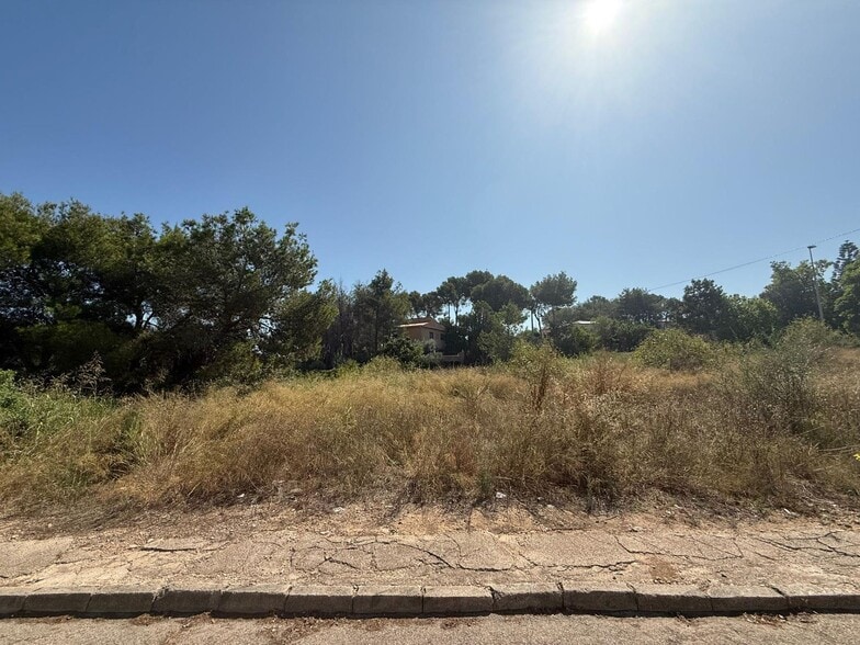 Terreno en Alberic, Valencia en venta - Foto principal - Imagen 2 de 8