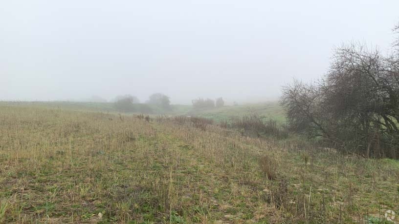 Polígono 12, Villaviciosa de Odón, Madrid en venta - Foto del edificio - Imagen 3 de 14