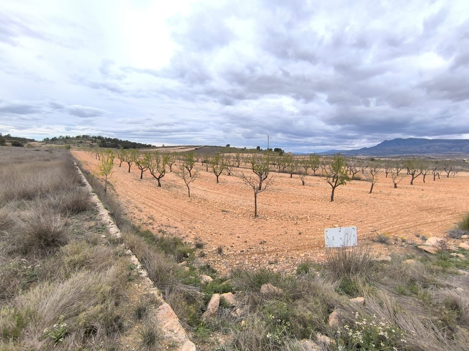 Terreno en Yecla, Murcia en venta Vista aérea- Imagen 1 de 4