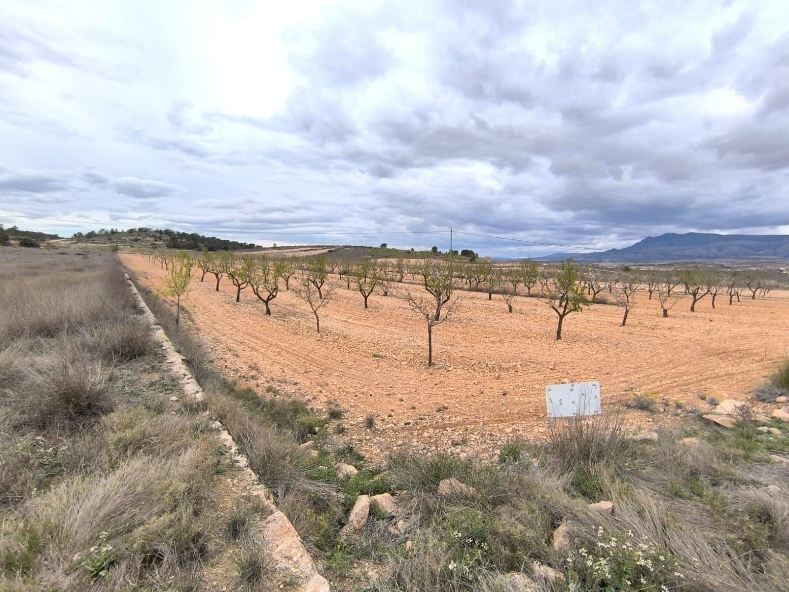 Terreno en Yecla, Murcia en venta Vista aérea- Imagen 1 de 4