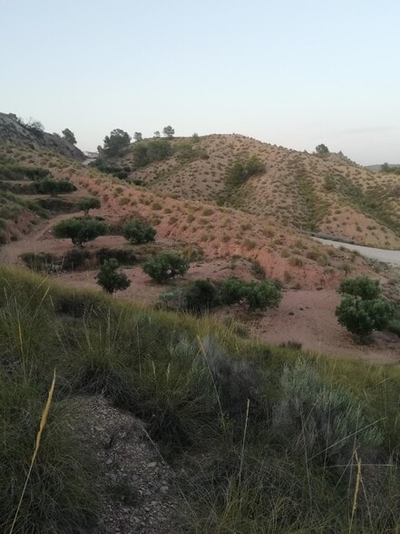 Terreno en Abanilla, Murcia en venta - Vista aérea - Imagen 2 de 5