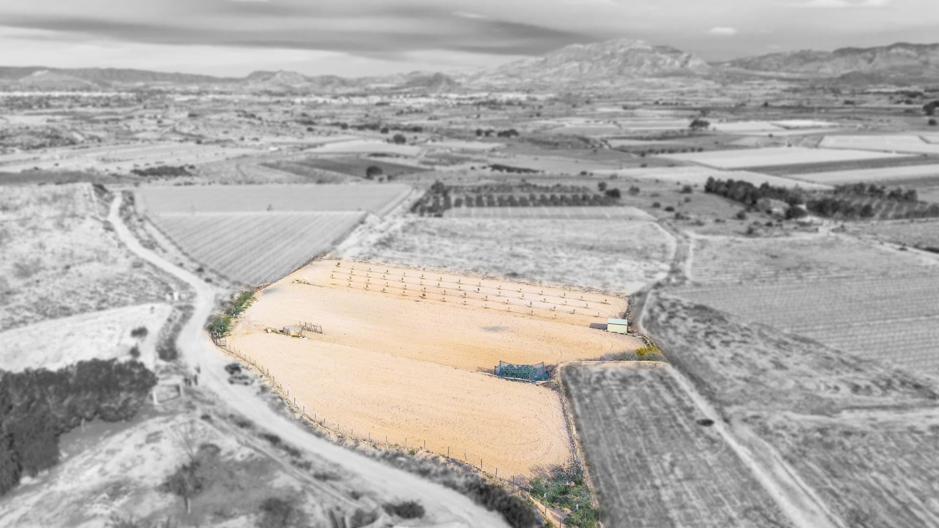 Terreno en Monforte del Cid, Alicante en venta Foto del edificio- Imagen 1 de 16
