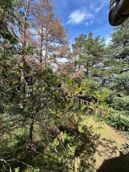 Terreno en Collado Hermoso, Segovia en venta - Foto del edificio - Imagen 3 de 12