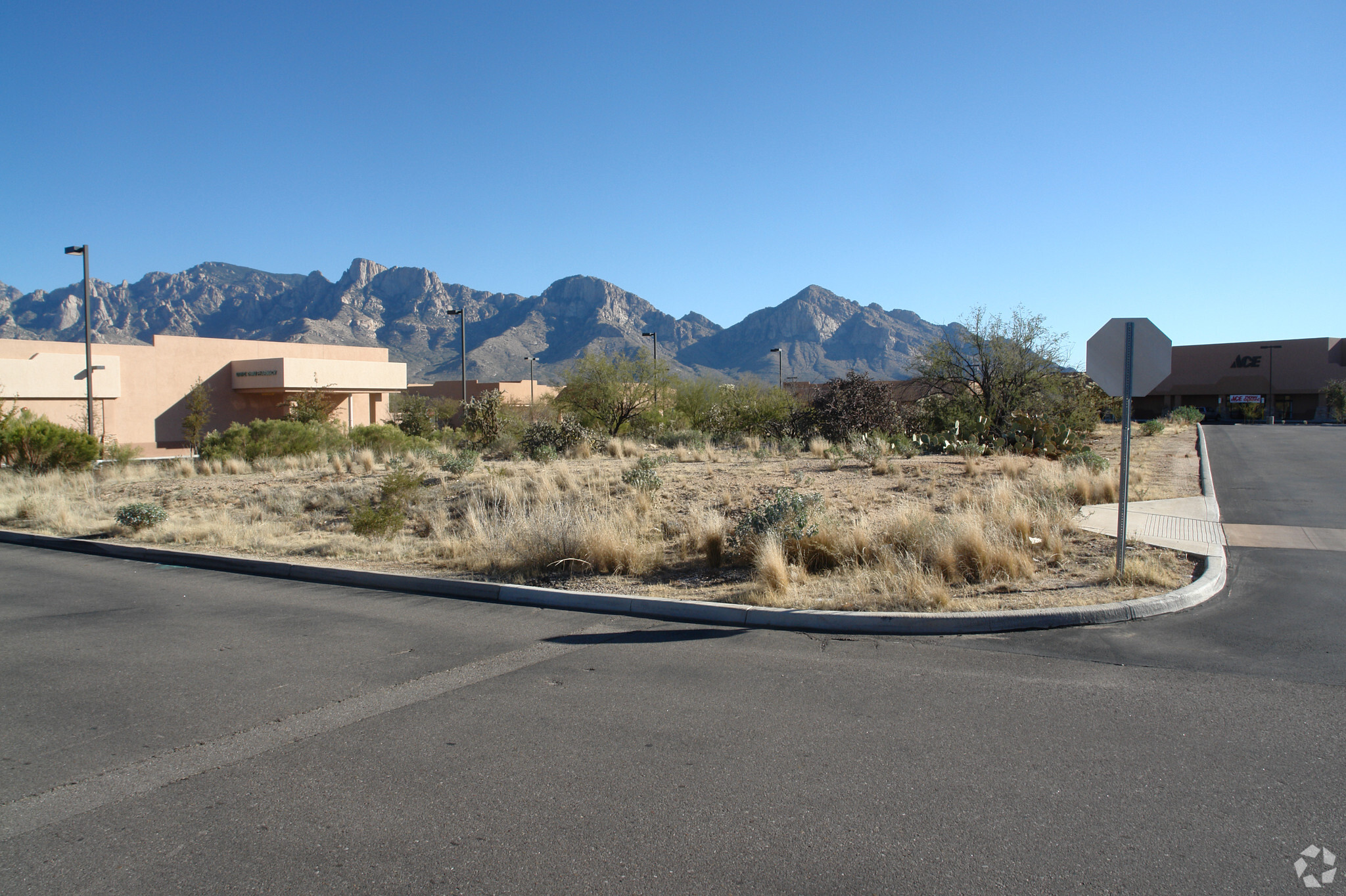 500 E Tangerine Rd, Tucson, AZ en alquiler Foto del edificio- Imagen 1 de 3