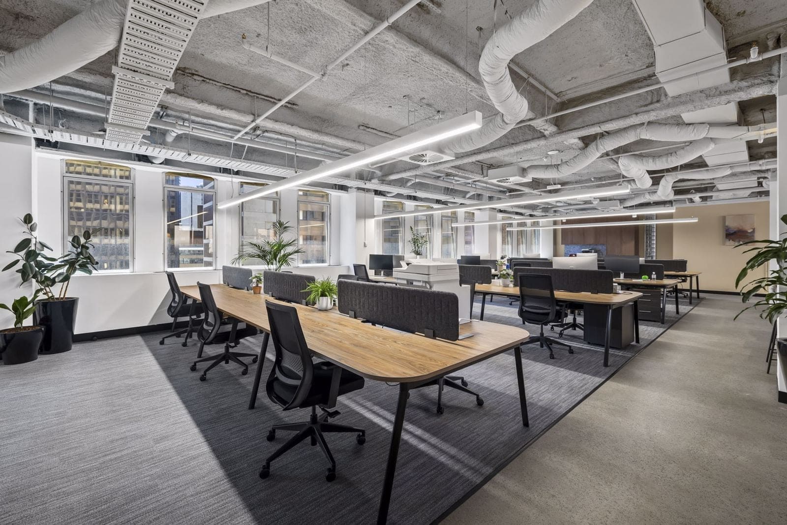 4-6 Bligh St, Sydney en alquiler Foto del interior- Imagen 1 de 8