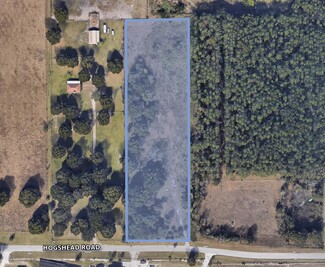 Más detalles para 4203 Hogshead Rd, Apopka, FL - Terrenos en venta