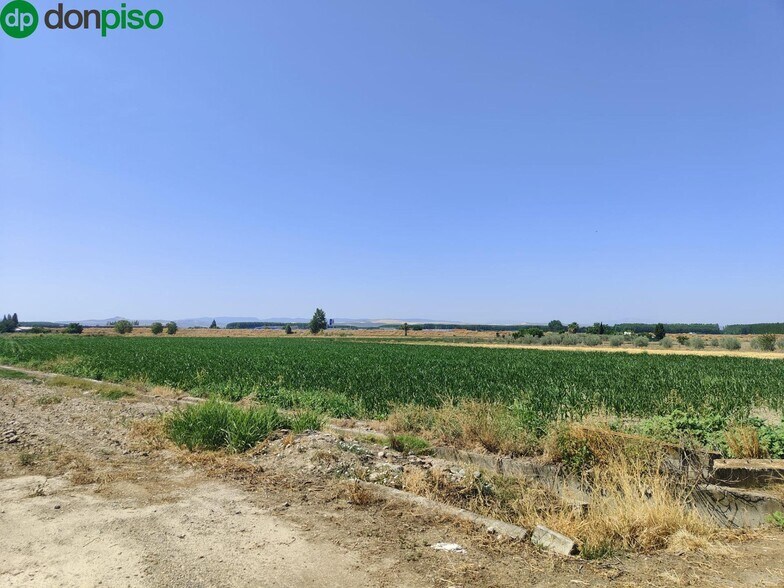 Carretera de Pinos Puente, Atarfe, Granada en venta - Foto del edificio - Imagen 2 de 9