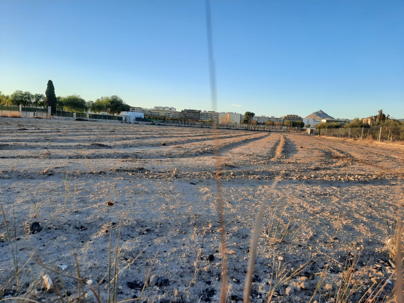 Terreno en Novelda, Alicante en venta Plano del sitio- Imagen 1 de 6