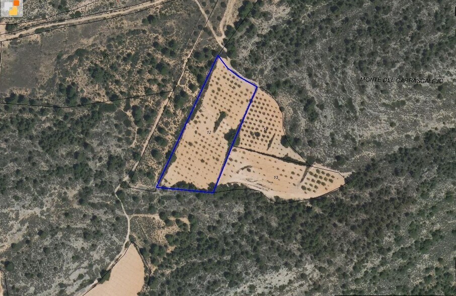 Terreno en MURCIA en venta - Plano del sitio - Imagen 3 de 6