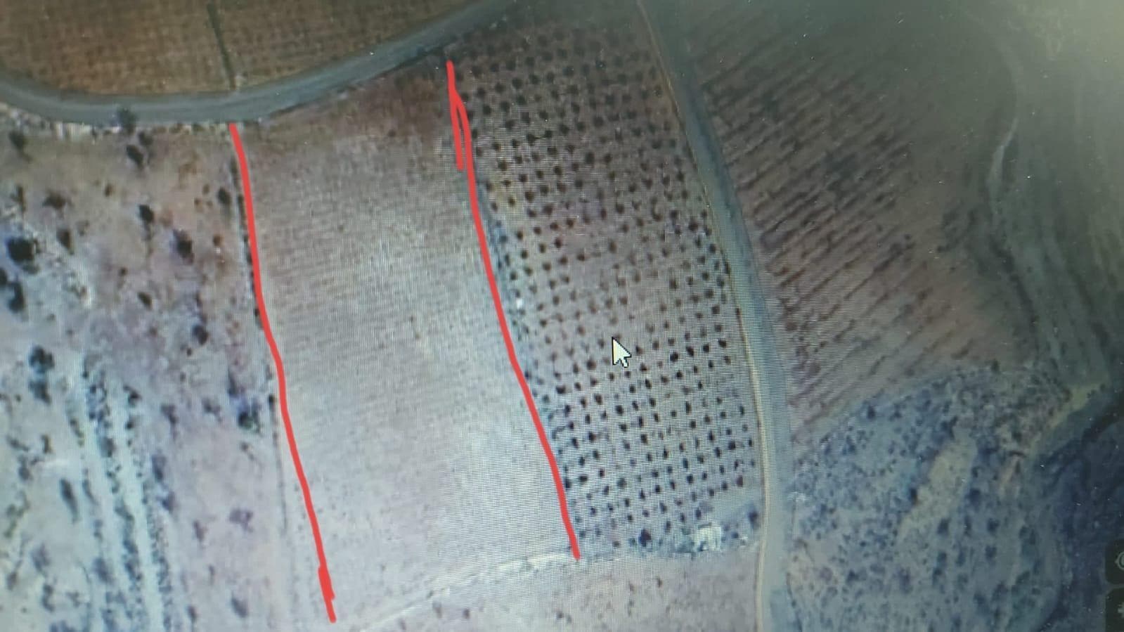 Terreno en Alcolea del Río, Sevilla en venta Vista aérea- Imagen 1 de 13