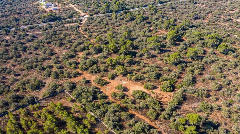 Terreno en Llucmajor en venta - Vista aérea - Imagen 2 de 9