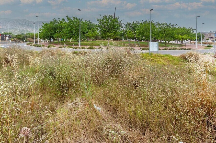 Terreno en ORPESA, Castellón en venta - Foto del edificio - Imagen 3 de 10