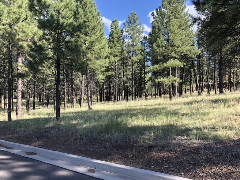 800 N Switzer Canyon Dr, Flagstaff, AZ en venta - Otros - Imagen 3 de 16