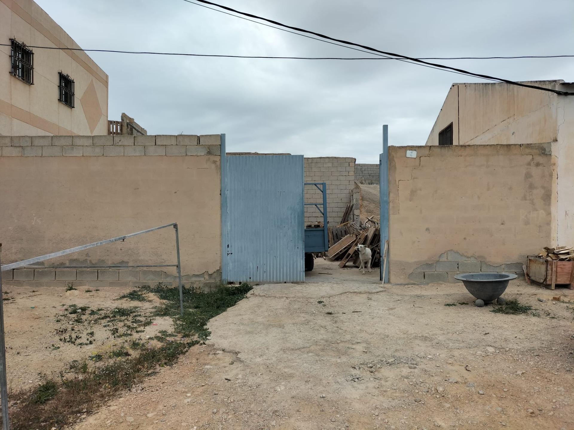 Terreno en Crevillent, Alicante en venta Foto del edificio- Imagen 1 de 2