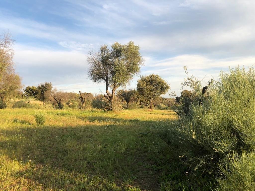 Terreno en Aldea del Cano, Cáceres en venta Foto principal- Imagen 1 de 2