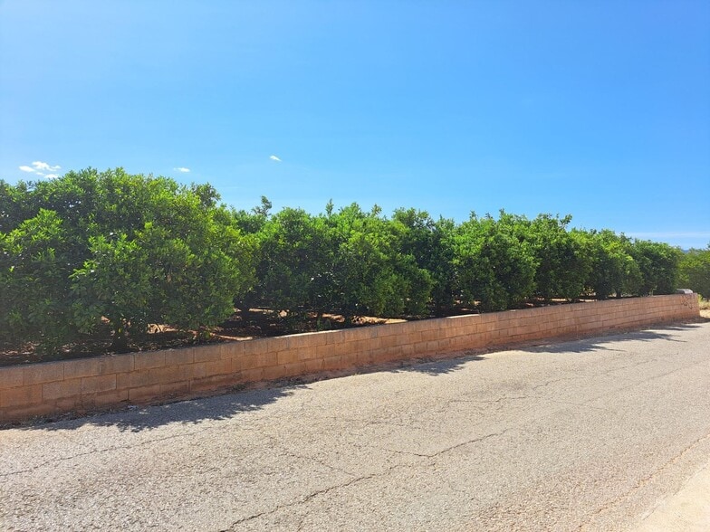 Terreno en Carcaixent en venta - Foto del edificio - Imagen 3 de 5