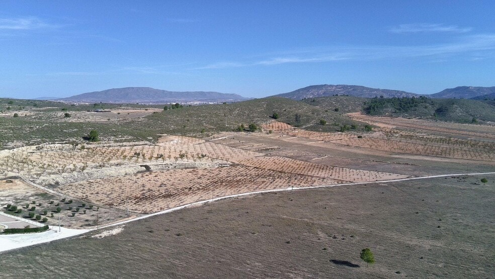 Terreno en Jumilla en venta - Foto del edificio - Imagen 2 de 17