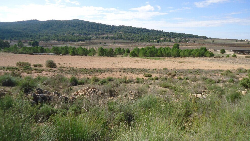 Terreno en MONÒVER, Alicante en venta - Foto principal - Imagen 1 de 9
