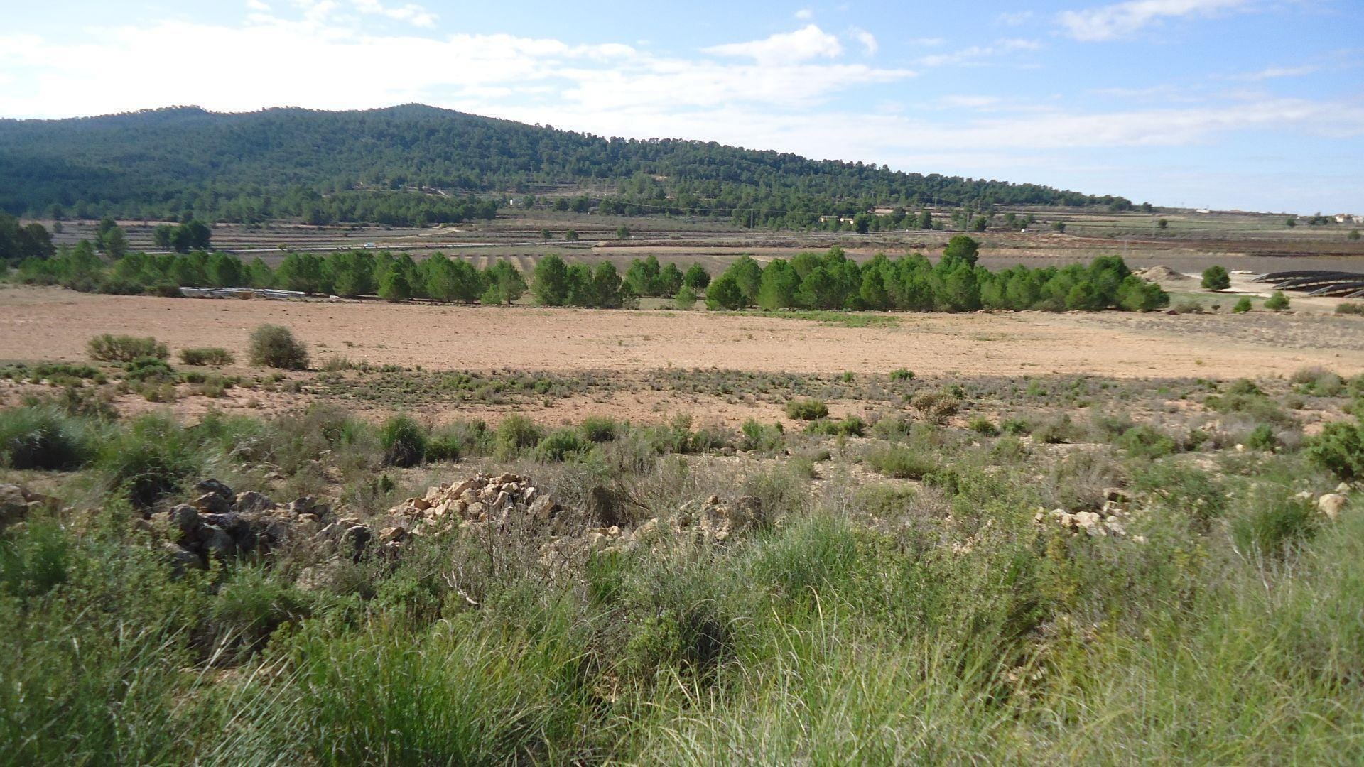 Terreno en MONÒVER, Alicante en venta Foto principal- Imagen 1 de 10