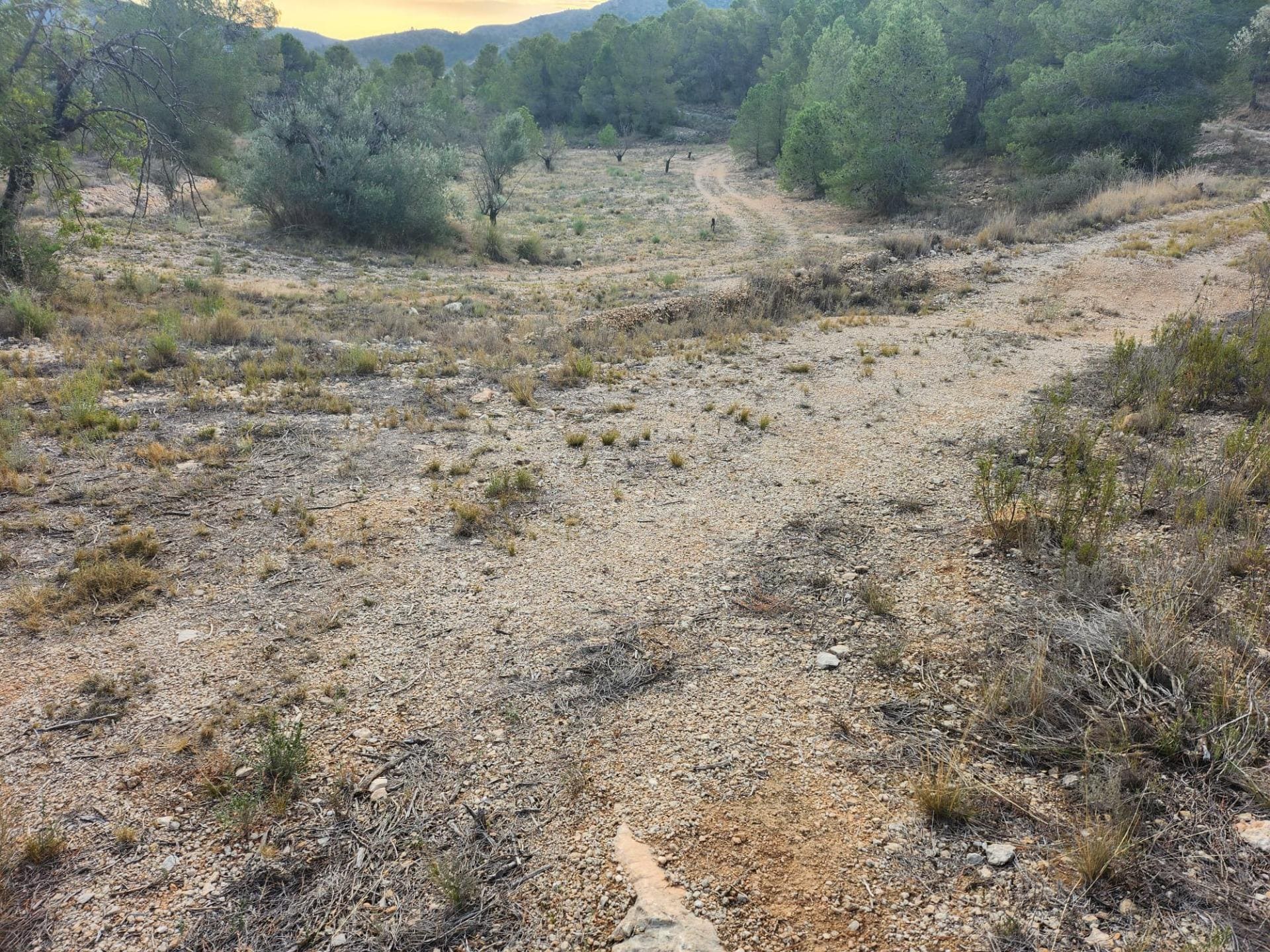 Terreno en La Romana, Alicante en venta Plano del sitio- Imagen 1 de 9