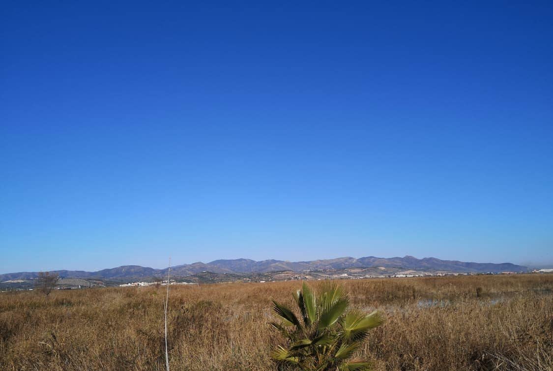 Carrer Costa del Azahar, Almenara, Castellón en venta Vista aérea- Imagen 1 de 7