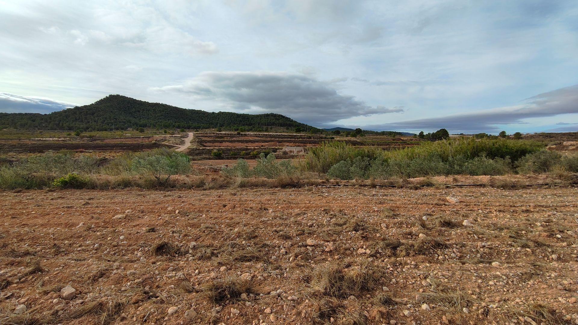 Terreno en MONÒVER, Alicante en venta Vista aérea- Imagen 1 de 16