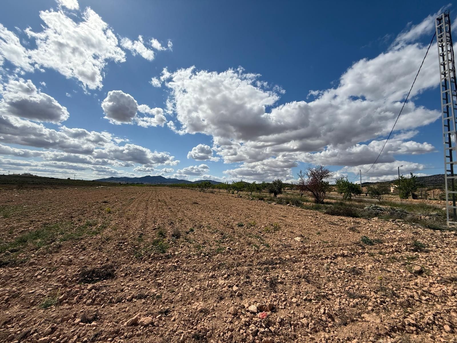 Terreno en PINOSO, Alicante en venta Foto principal- Imagen 1 de 9