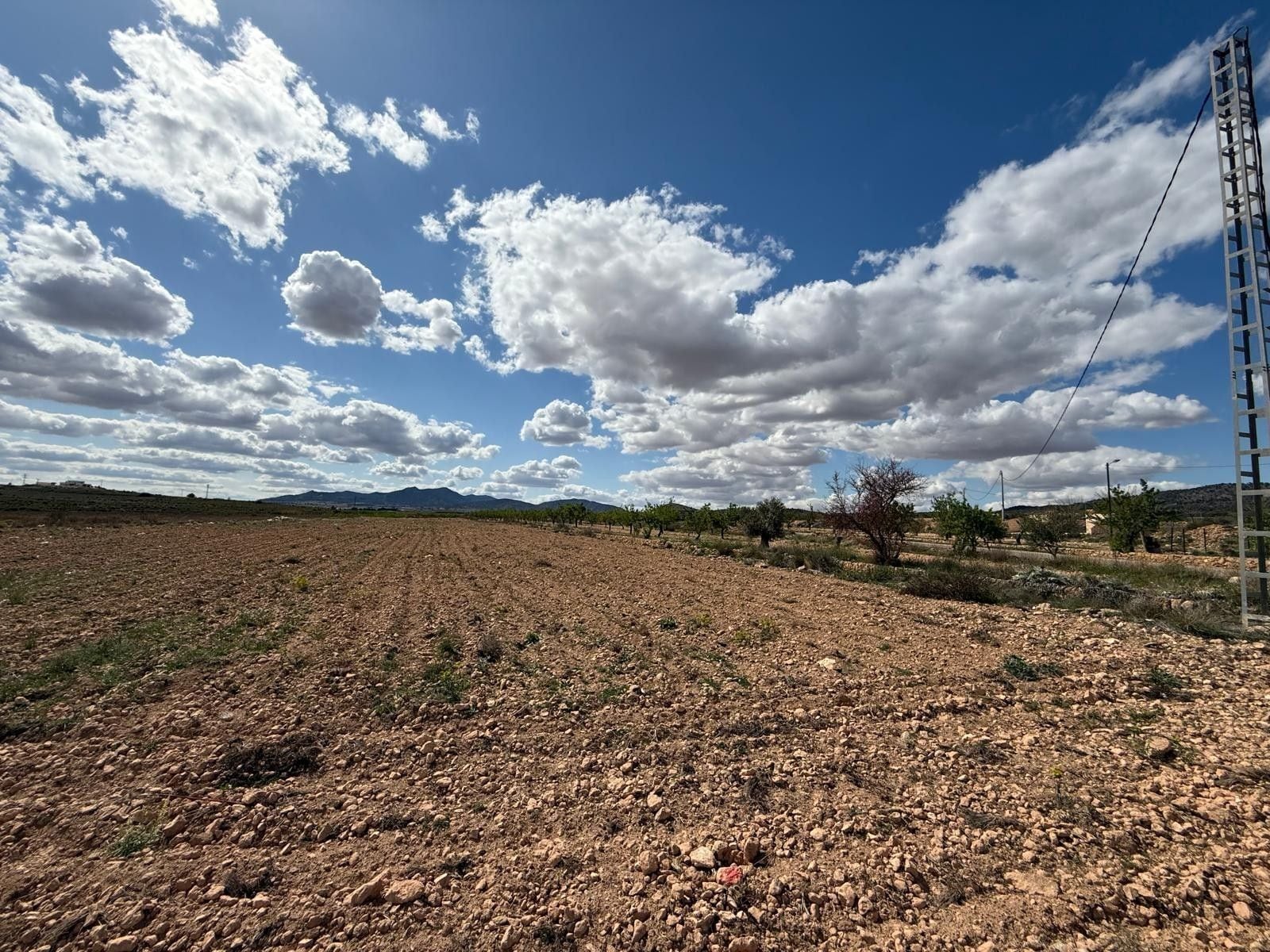 Sin Calle, PINOSO, Alicante en venta Foto del edificio- Imagen 1 de 9