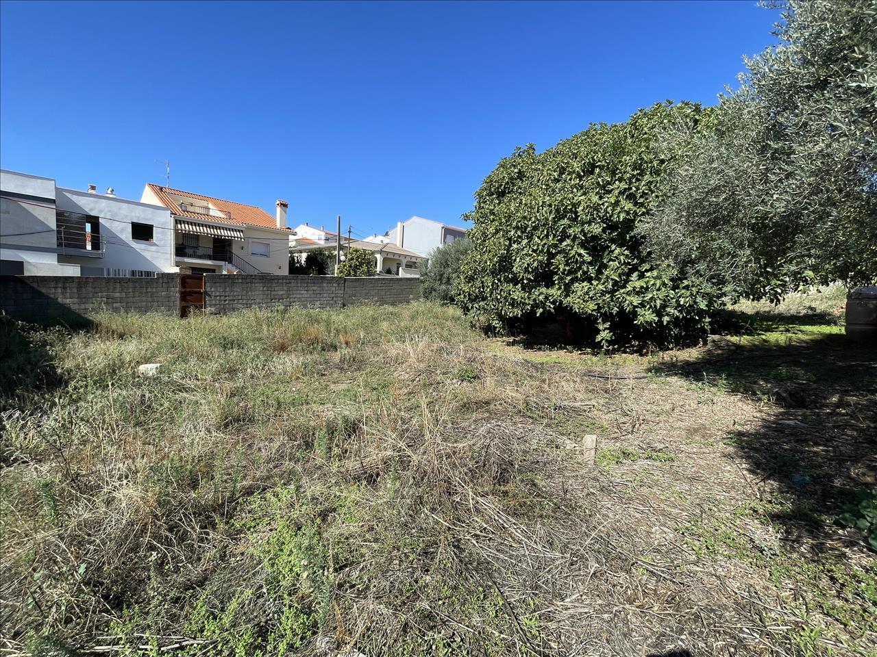 Terreno en Malpartida de Plasencia en venta Foto del edificio- Imagen 1 de 16