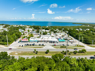 Más detalles para 100636 Overseas Hwy, Key Largo, FL - Locales en venta