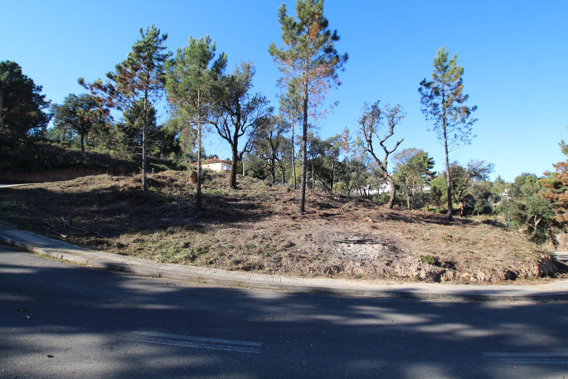 Terreno en Riudarenes, Gerona en venta Foto principal- Imagen 1 de 6