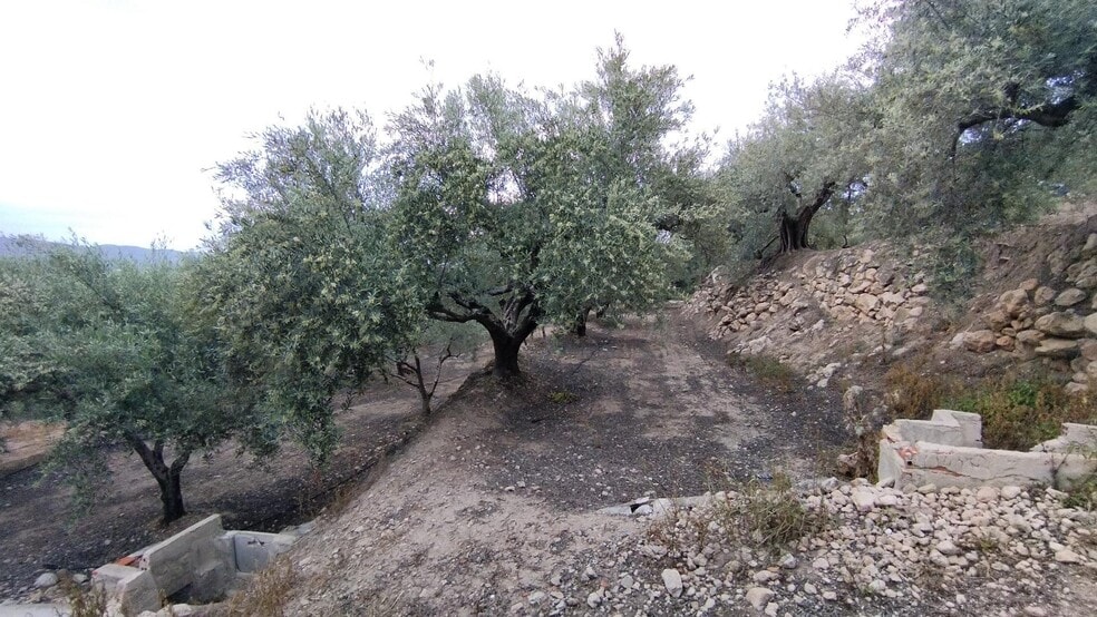 Terreno en Calasparra, Murcia en venta - Foto del edificio - Imagen 3 de 9