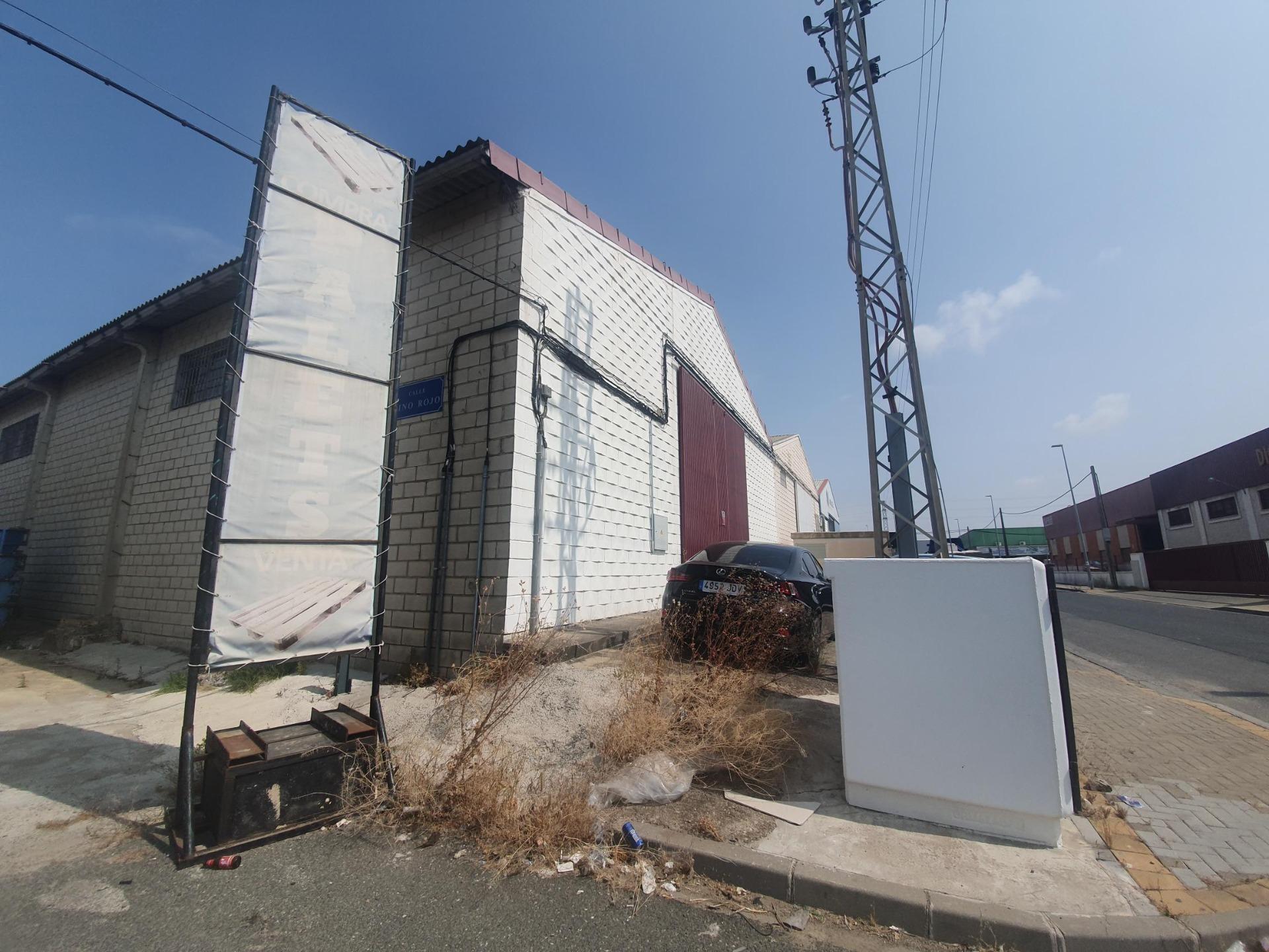 Calle Pino Ponderosa, 6, SEVILLA, Sevilla en alquiler Foto principal- Imagen 1 de 11