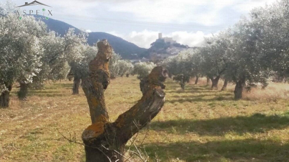 Terreno en Biar, Alicante en venta - Vista aérea - Imagen 1 de 7