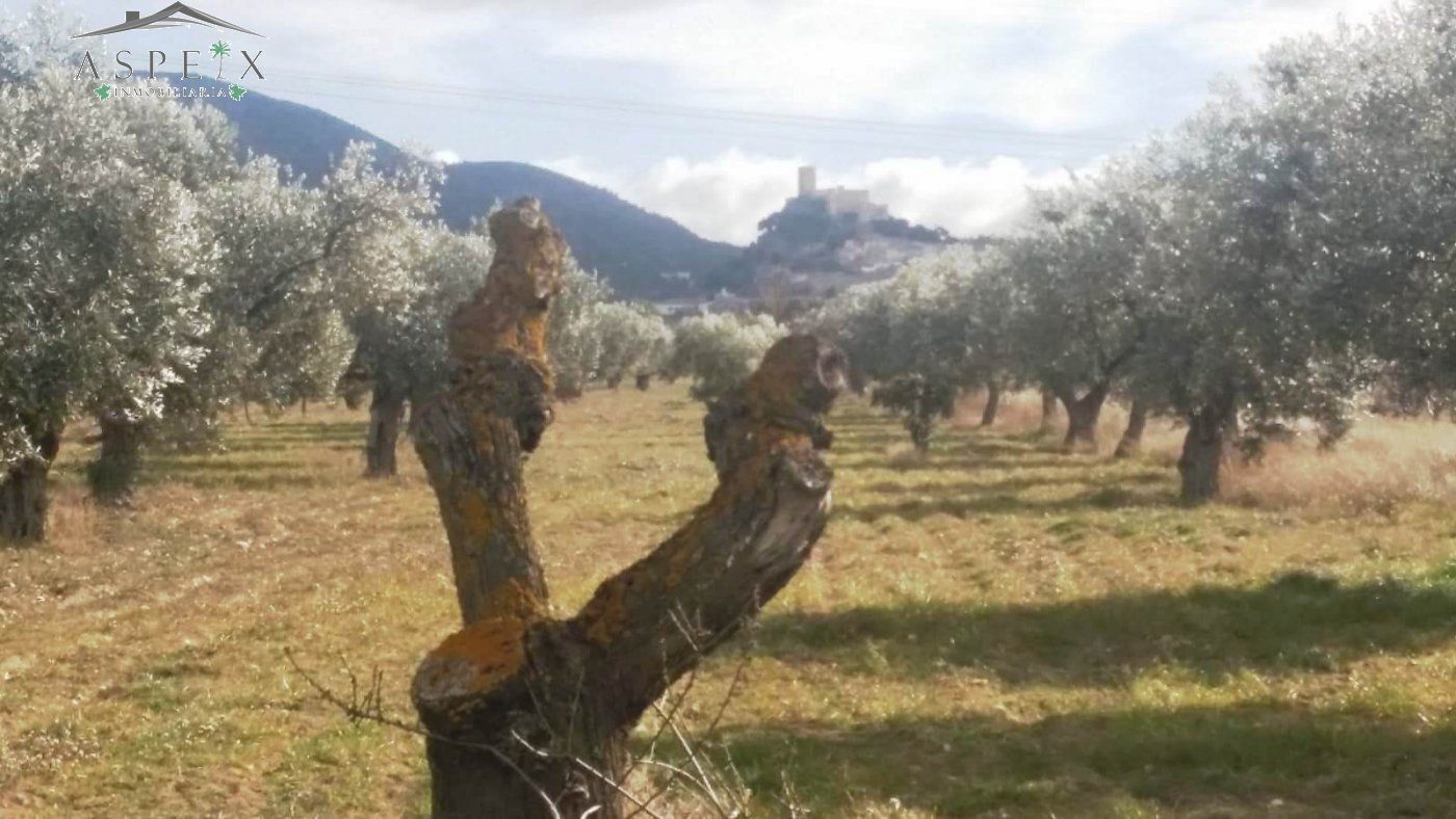 Terreno en Biar, Alicante en venta Vista aérea- Imagen 1 de 8