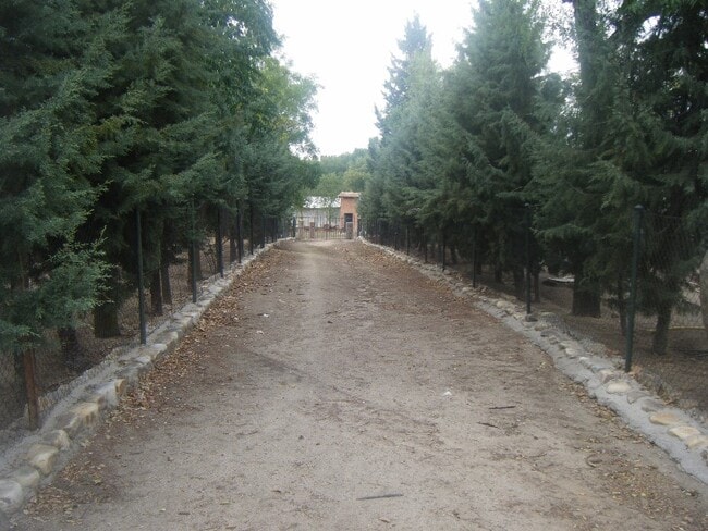 Más detalles de Plaza Antonio Moreda, 1, Valdeolmos-Alalpardo - Local en venta