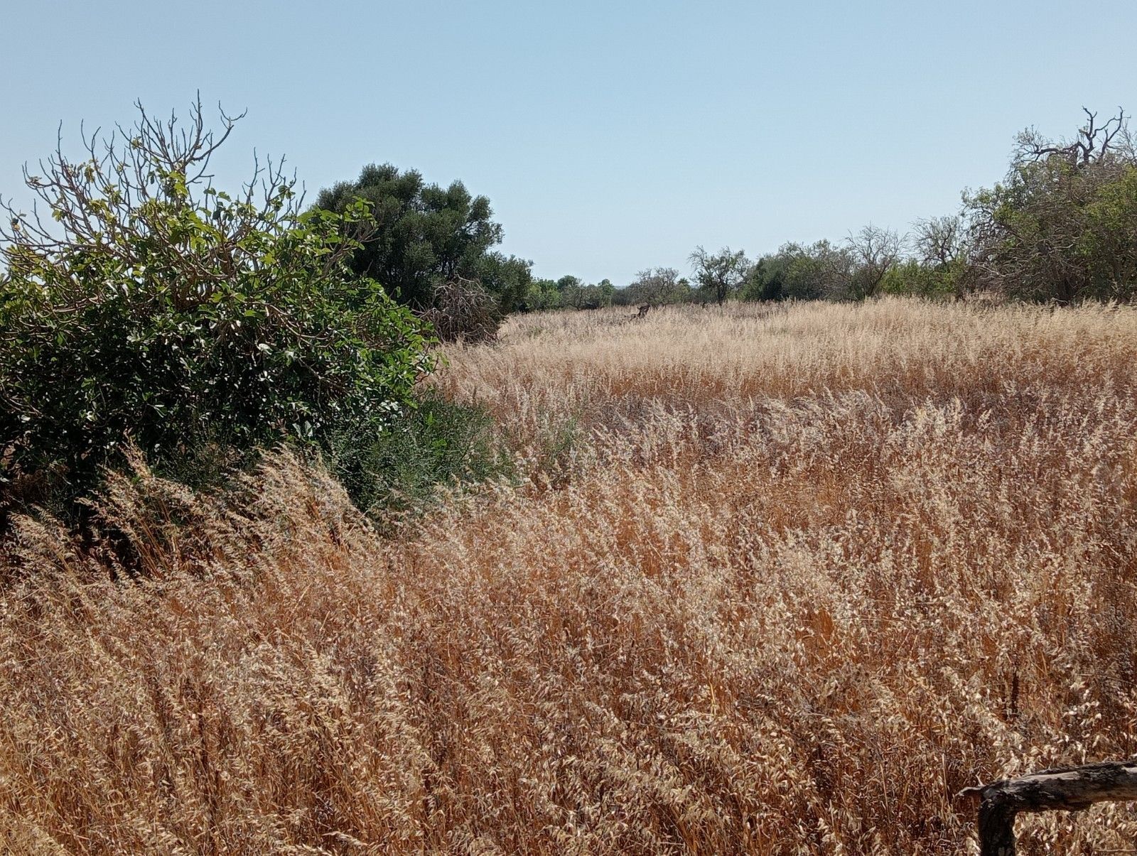 Terreno en Santanyí, Islas Baleares en venta Foto del edificio- Imagen 1 de 16
