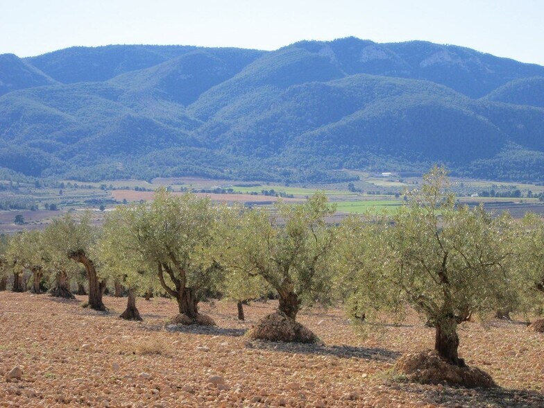 Terreno en MURCIA en venta - Foto del edificio - Imagen 3 de 5