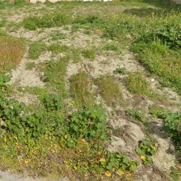 Terreno en Esquivias, Toledo en venta - Foto del edificio - Imagen 3 de 5